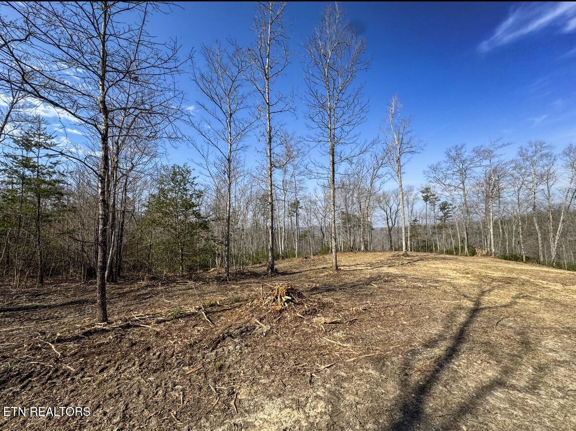 Clifty Creek Road Winfield TN 37892