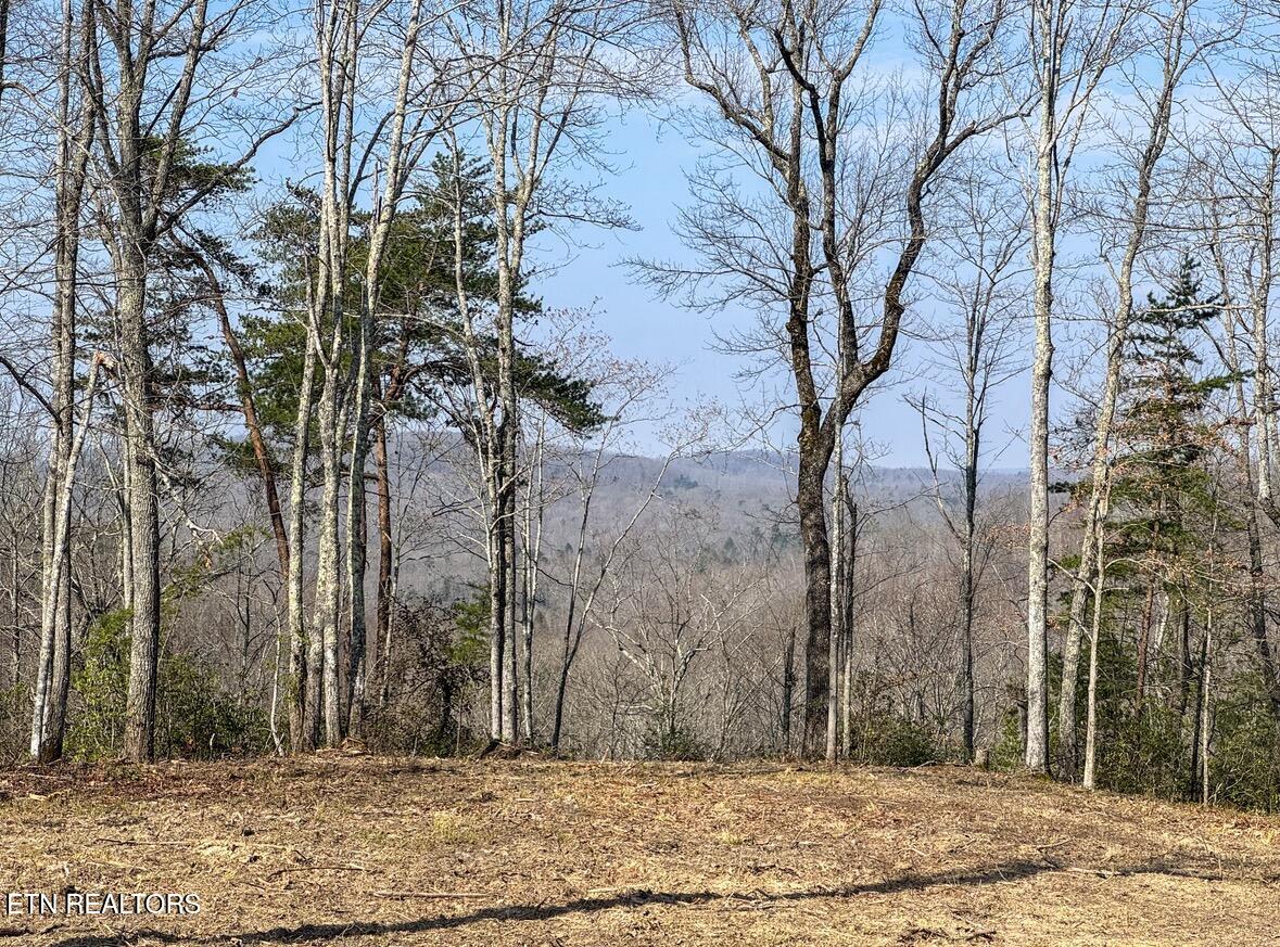 Clifty Creek Road Winfield TN 37892
