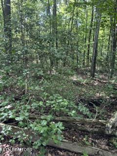 850 Lick Hollow Drive Grandview TN 37337