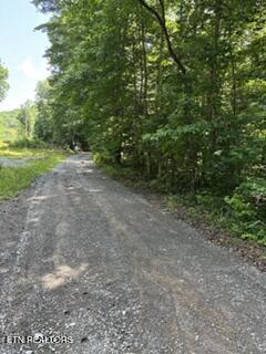 850 Lick Hollow Drive Grandview TN 37337