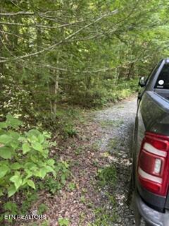 850 Lick Hollow Drive Grandview TN 37337