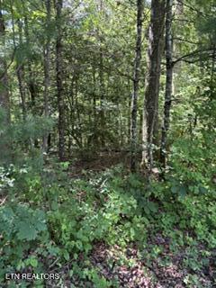 850 Lick Hollow Drive Grandview TN 37337