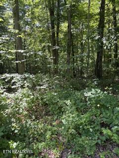 850 Lick Hollow Drive Grandview TN 37337