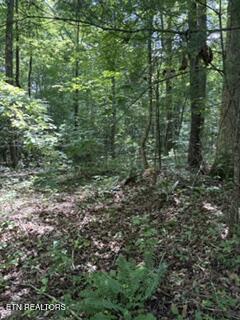 850 Lick Hollow Drive Grandview TN 37337