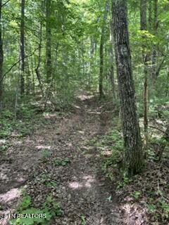 850 Lick Hollow Drive Grandview TN 37337