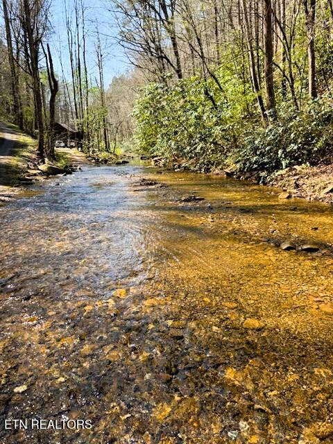7.68AC Ellis Creek Road Reliance TN 37369