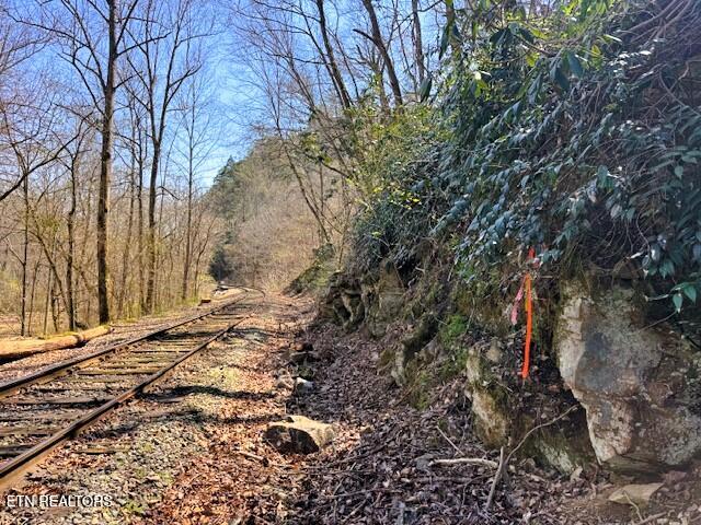 7.68AC Ellis Creek Road Reliance TN 37369
