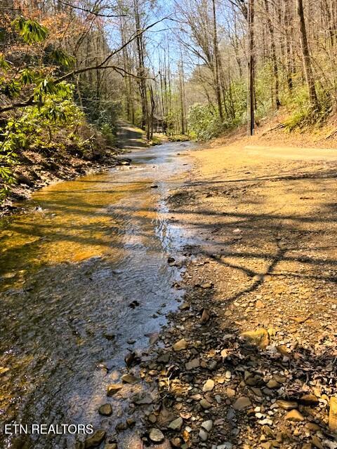 7.68AC Ellis Creek Road Reliance TN 37369