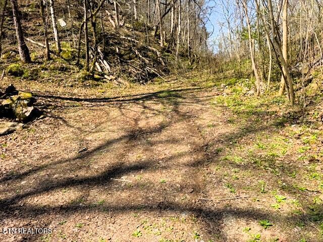 7.68AC Ellis Creek Road Reliance TN 37369
