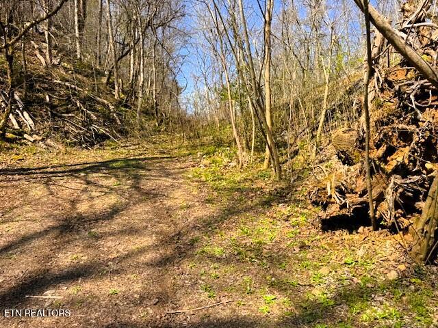 7.68AC Ellis Creek Road Reliance TN 37369