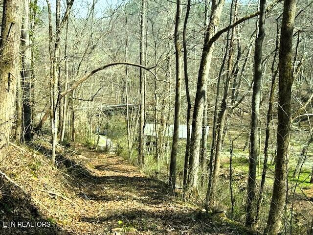 7.68AC Ellis Creek Road Reliance TN 37369