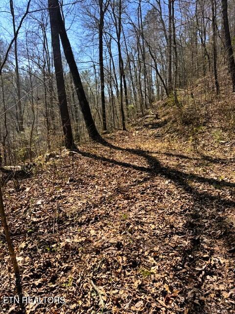 7.68AC Ellis Creek Road Reliance TN 37369