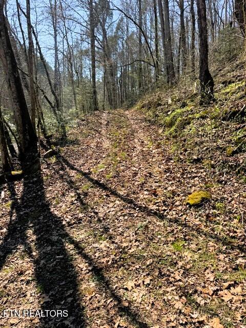 7.68AC Ellis Creek Road Reliance TN 37369