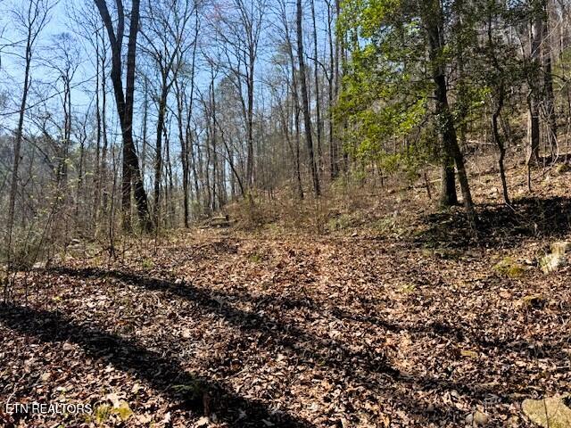 7.68AC Ellis Creek Road Reliance TN 37369
