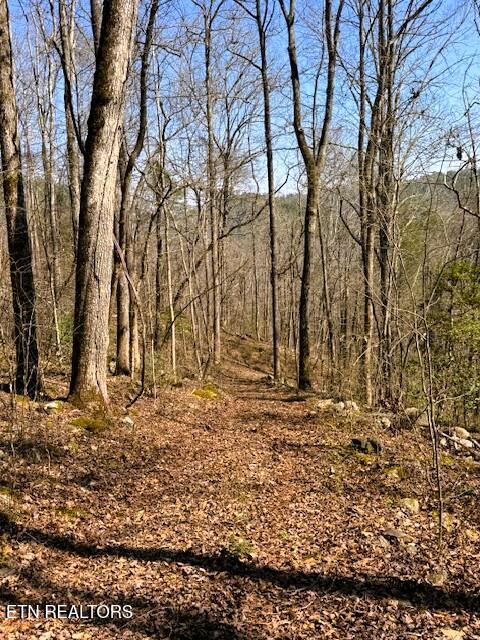 7.68AC Ellis Creek Road Reliance TN 37369