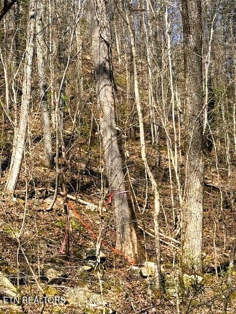 7.68AC Ellis Creek Road Reliance TN 37369