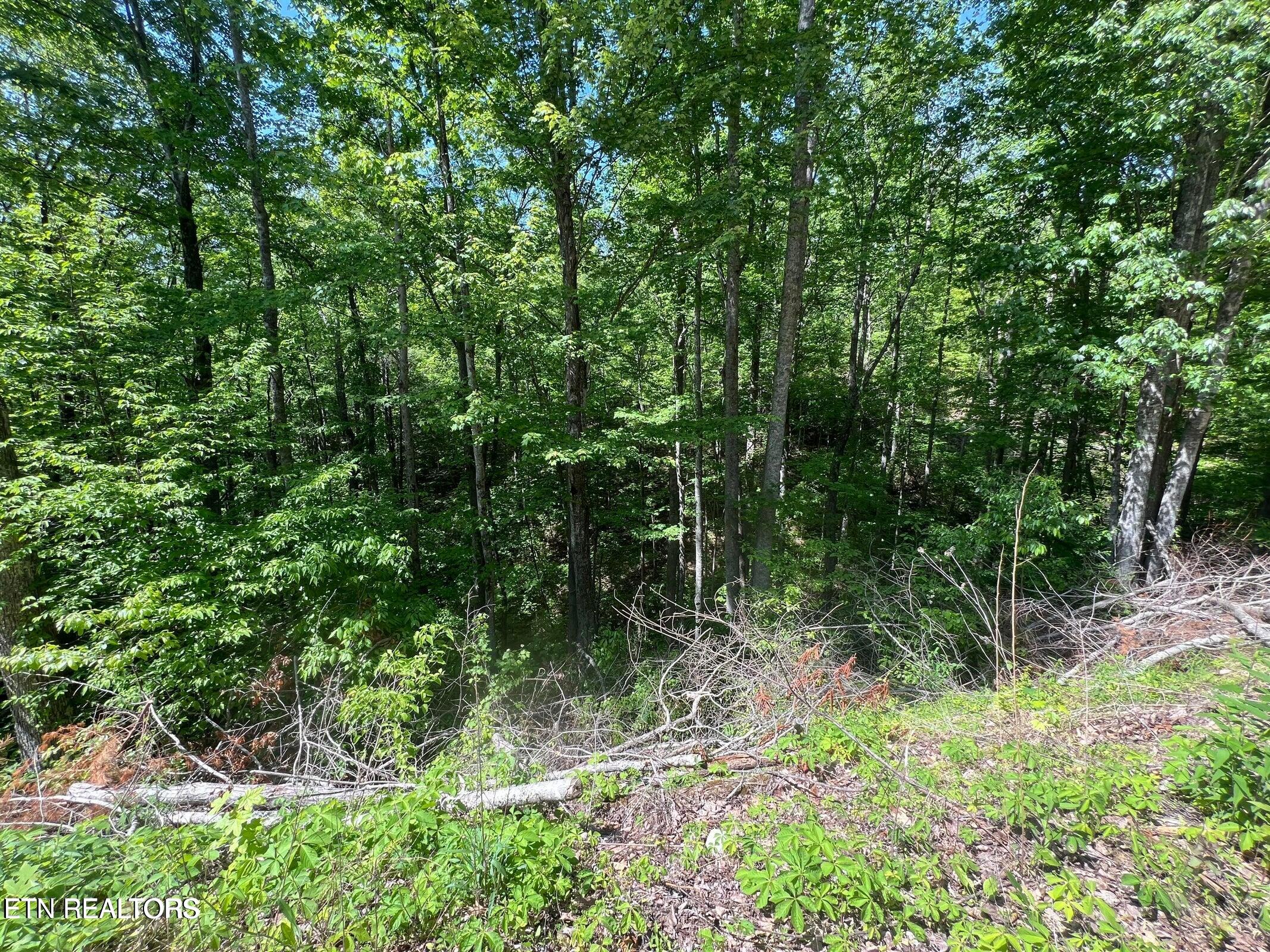 Lot 26 Black Oak Pl Place Sevierville TN 37876