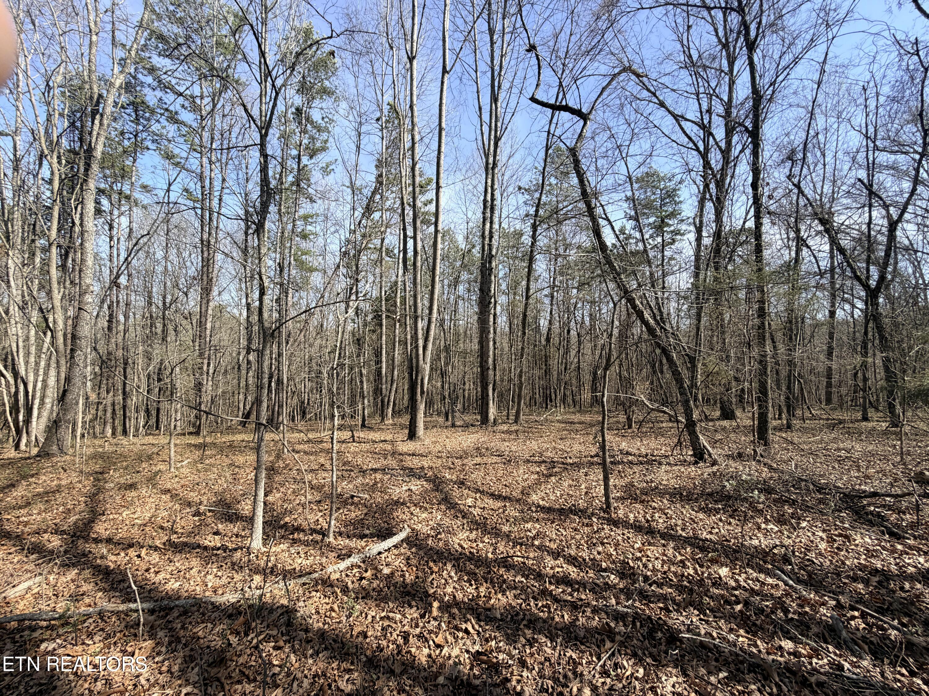 Montview Road Lenoir City TN 37771