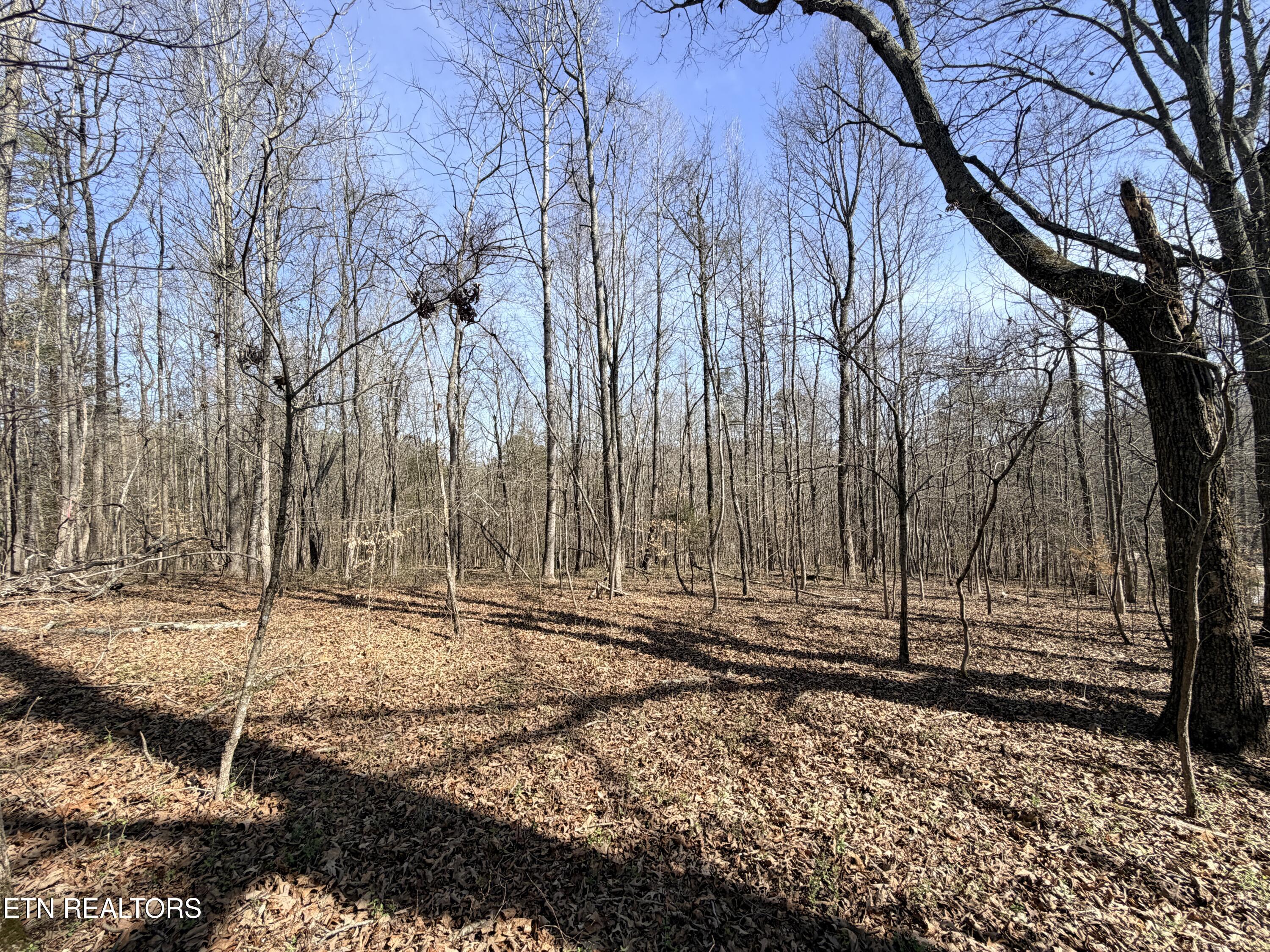 Montview Road Lenoir City TN 37771