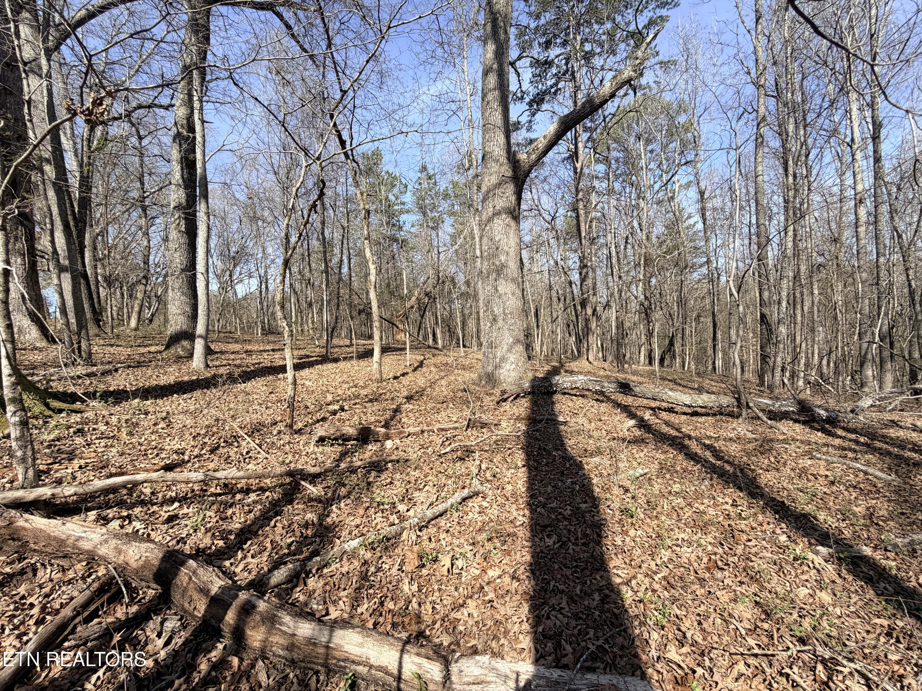 Montview Road Lenoir City TN 37771