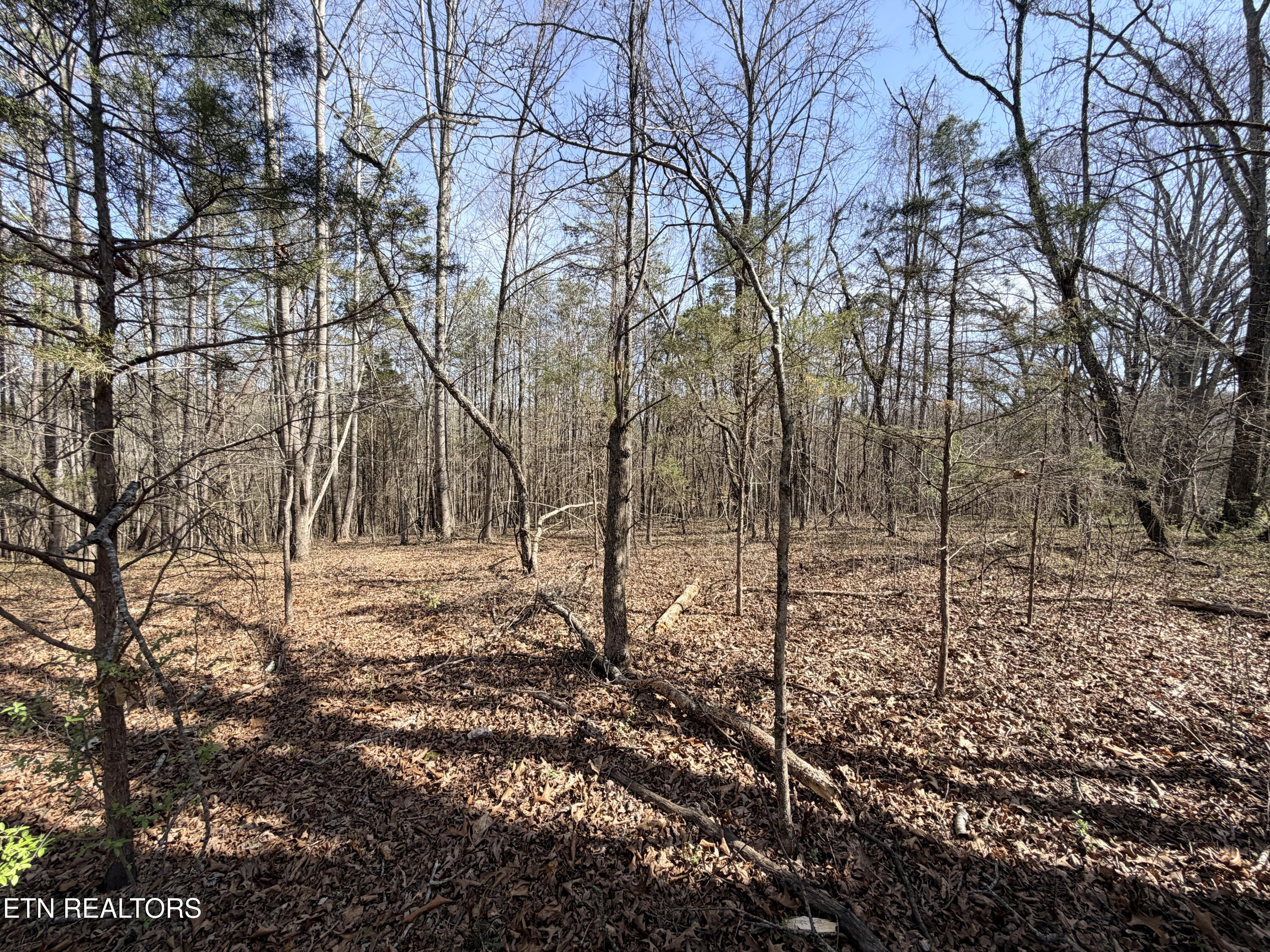 Montview Road Lenoir City TN 37771