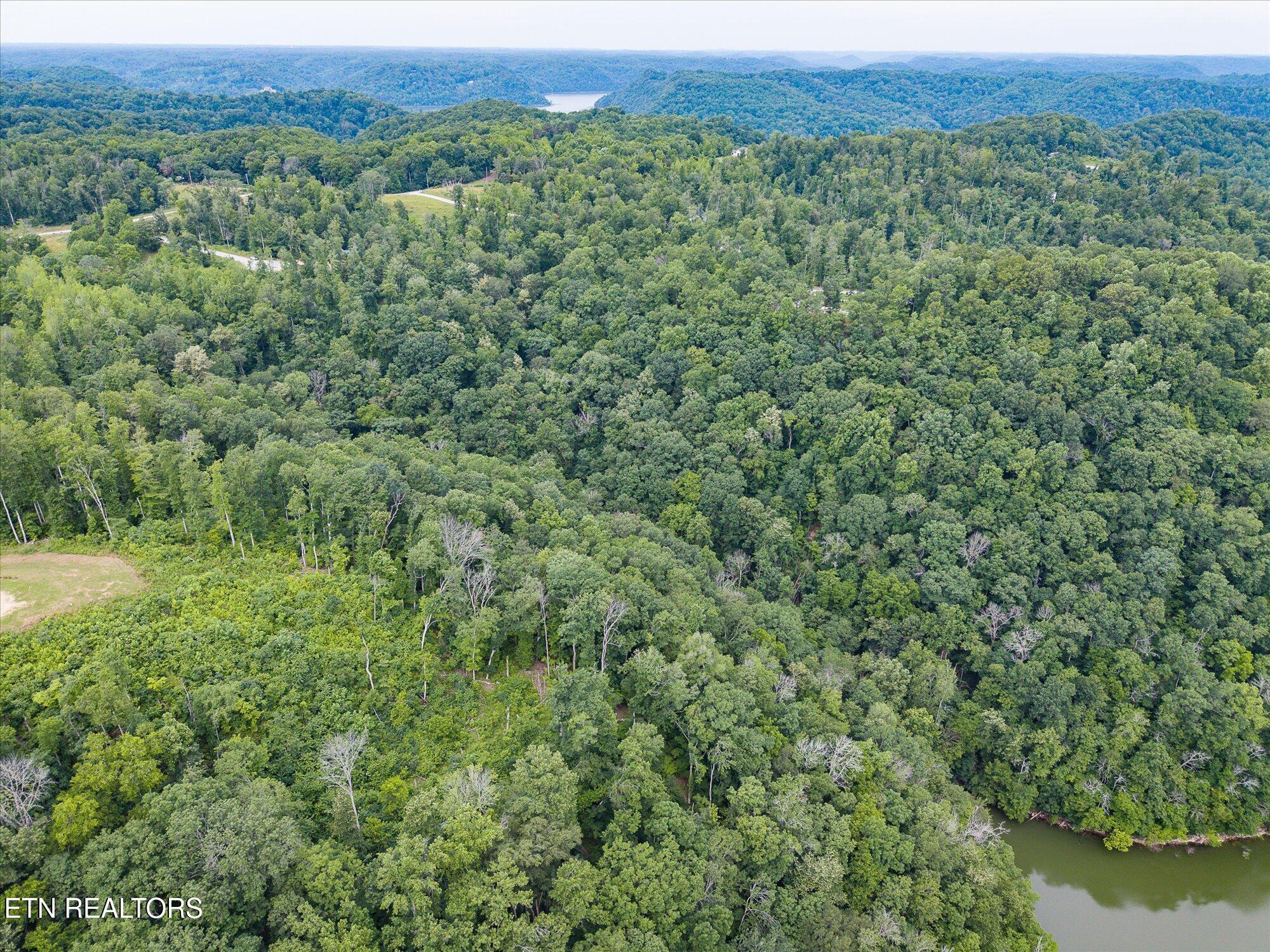 0 Peninsulas Edge Court Smithville TN 37166