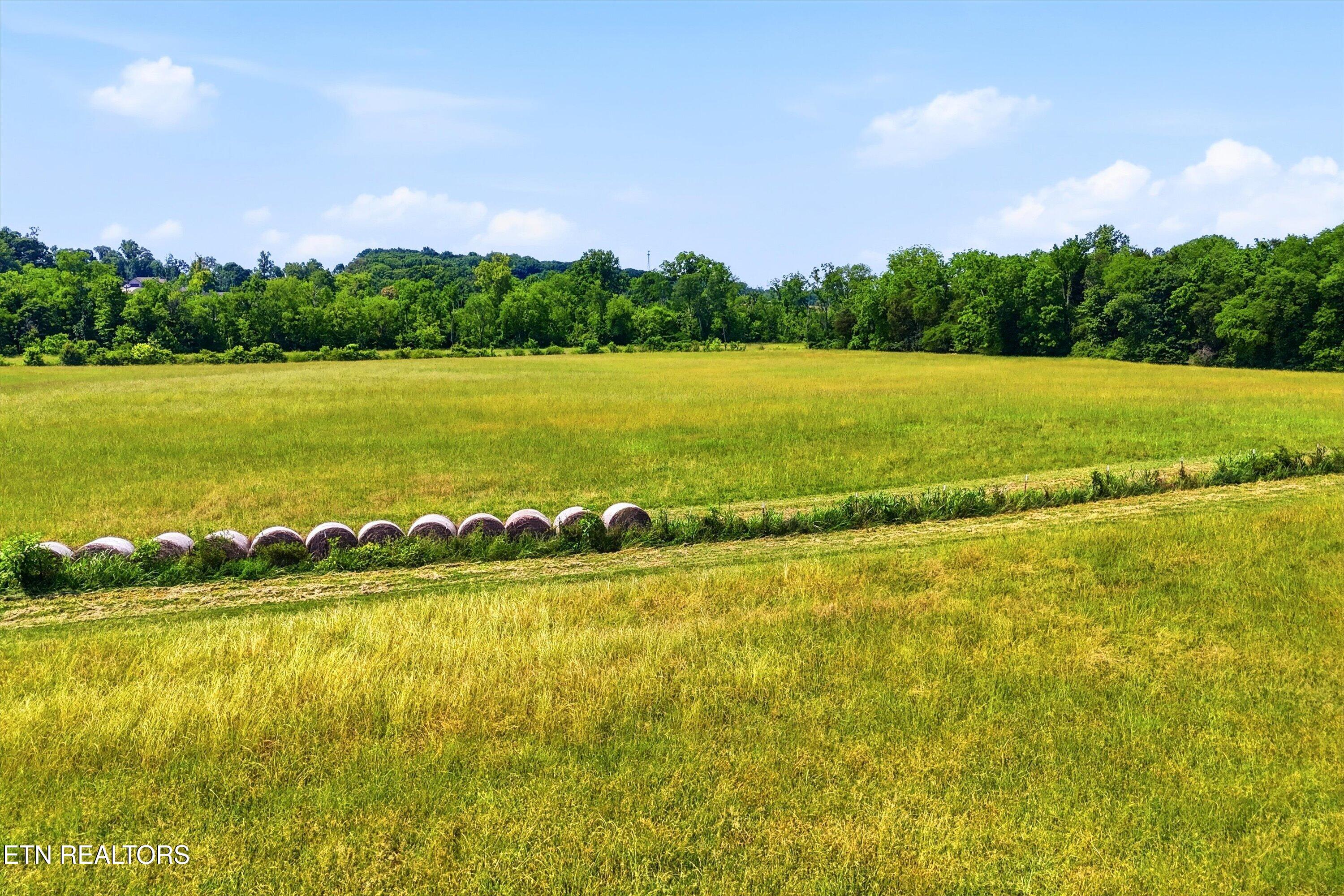 Hiwassee Road Madisonville TN 37354