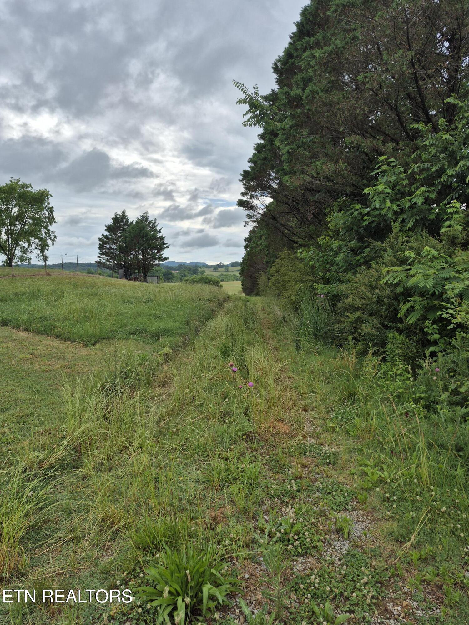 Hiwassee Road Madisonville TN 37354