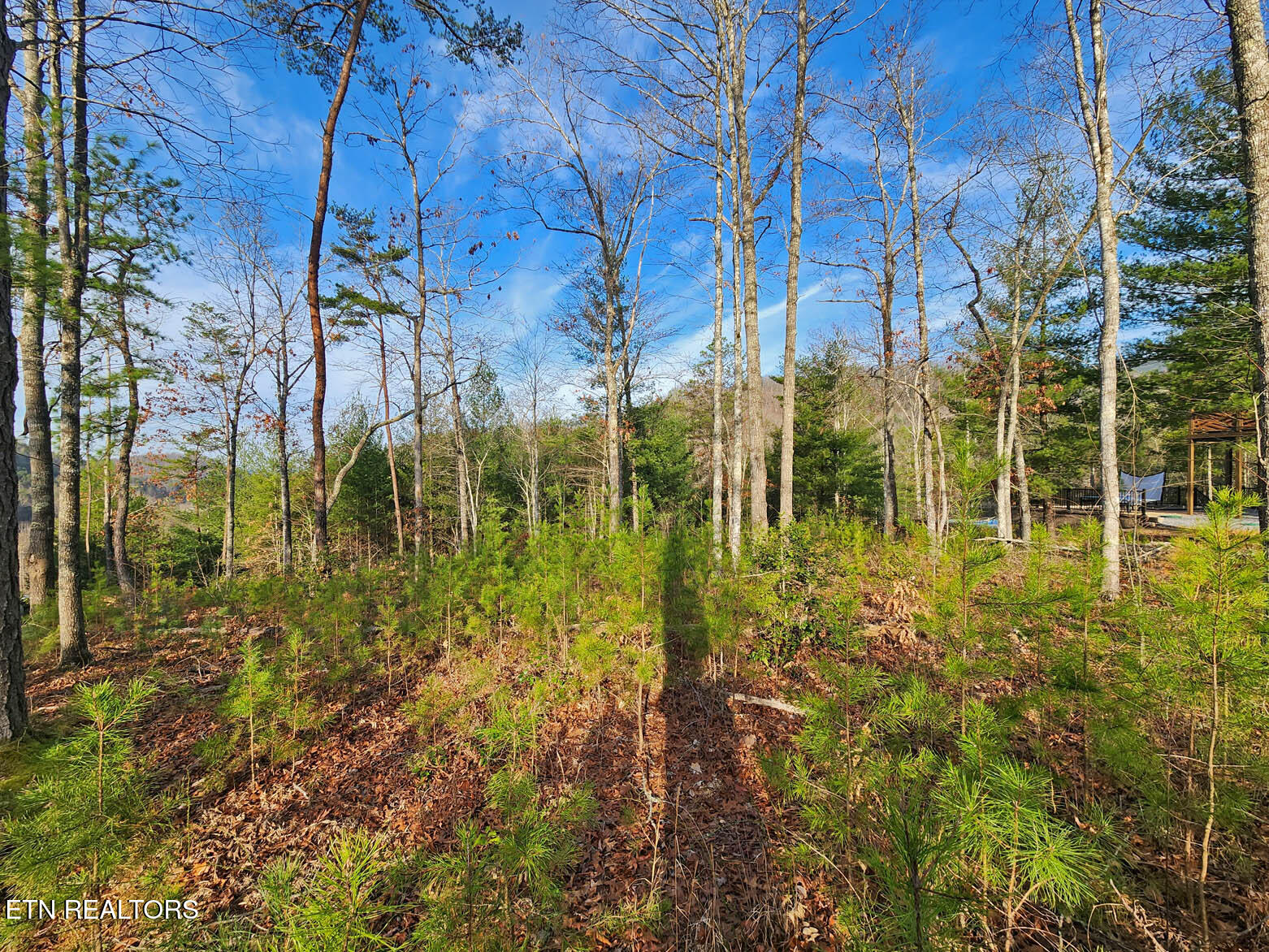 Lot 3 Mountain Ash Way Sevierville TN 37876