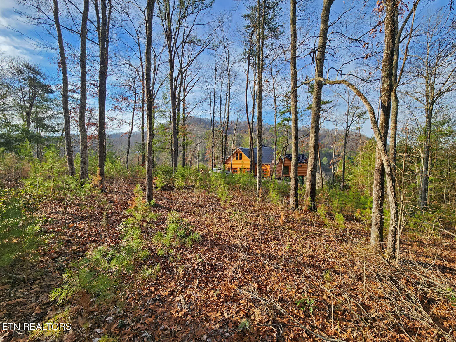 Lot 3 Mountain Ash Way Sevierville TN 37876
