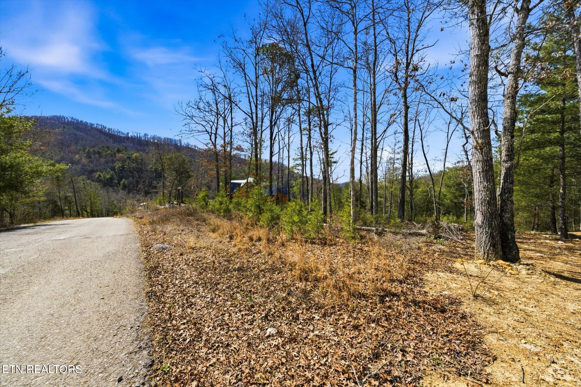 Lot 3 Mountain Ash Way Sevierville TN 37876