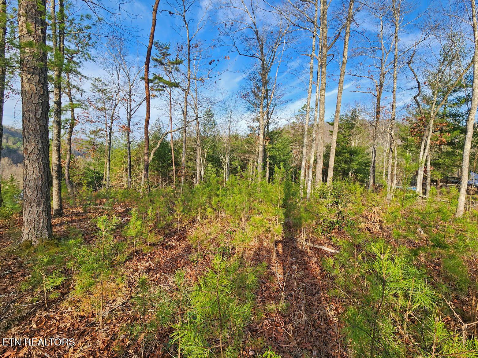 Lot 3 Mountain Ash Way Sevierville TN 37876