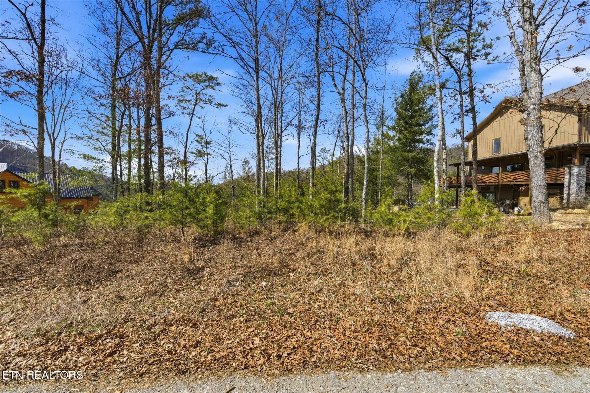 Lot 3 Mountain Ash Way Sevierville TN 37876