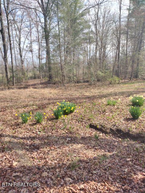 465 Huse Watson Road Oakdale TN 37829