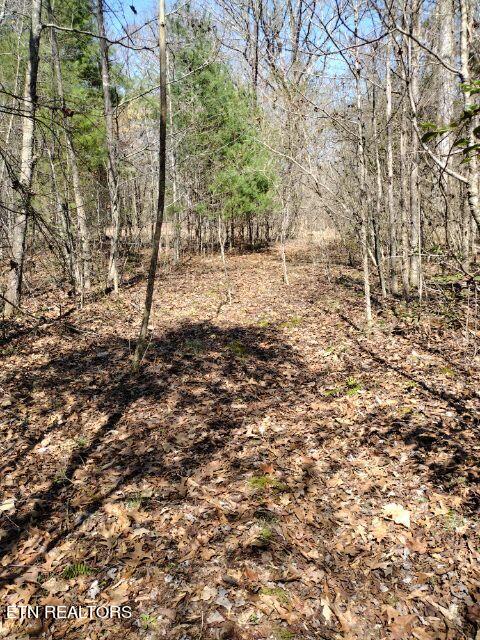 465 Huse Watson Road Oakdale TN 37829
