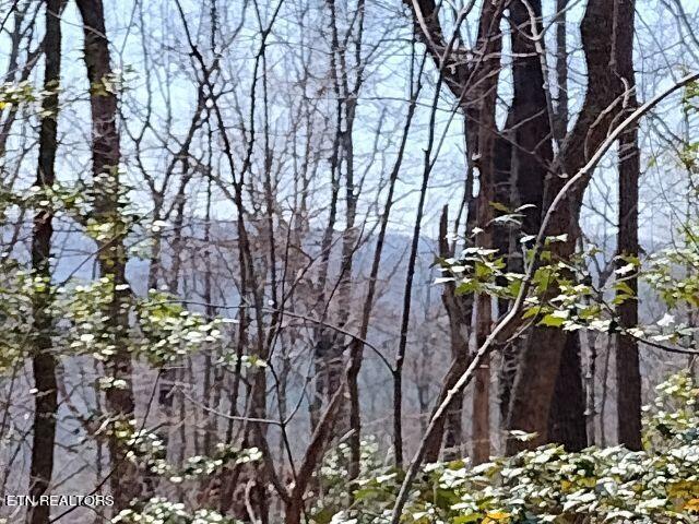 465 Huse Watson Road Oakdale TN 37829