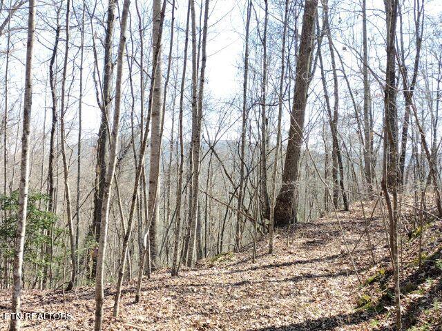 465 Huse Watson Road Oakdale TN 37829