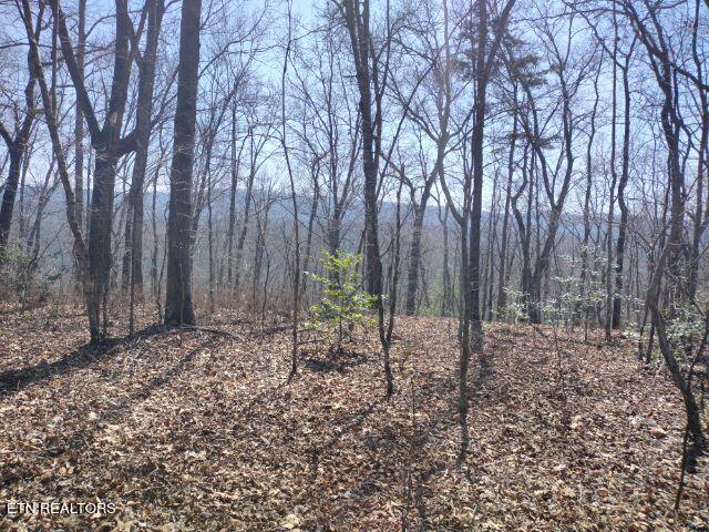 465 Huse Watson Road Oakdale TN 37829