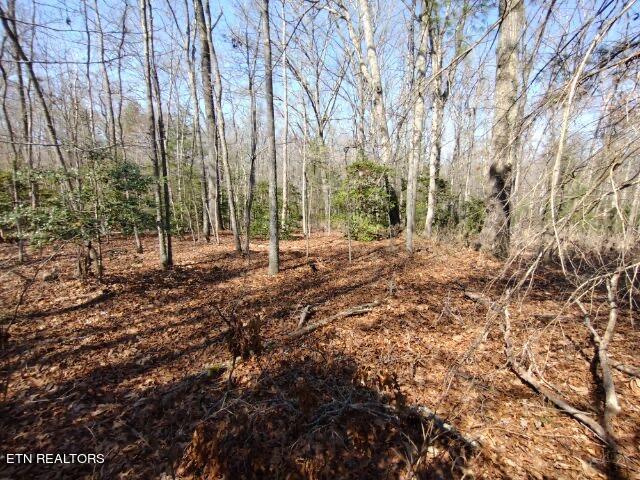 465 Huse Watson Road Oakdale TN 37829