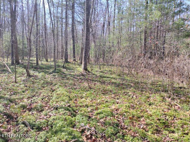 465 Huse Watson Road Oakdale TN 37829