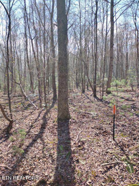 465 Huse Watson Road Oakdale TN 37829