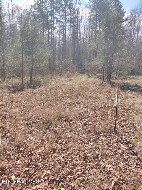 465 Huse Watson Road Oakdale TN 37829