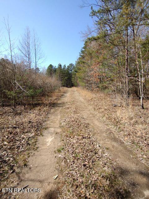 465 Huse Watson Road Oakdale TN 37829