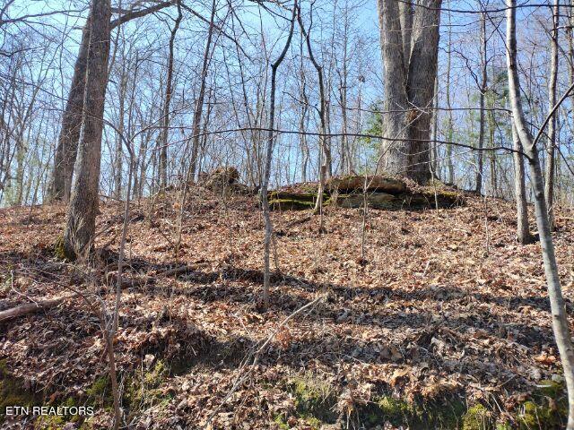 465 Huse Watson Road Oakdale TN 37829