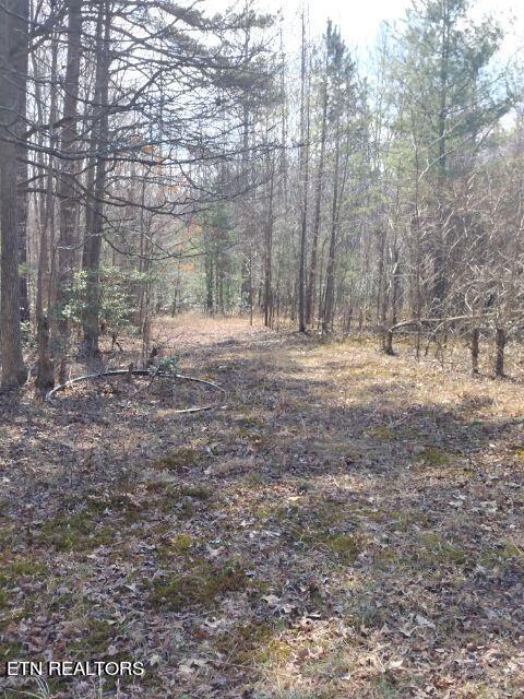 465 Huse Watson Road Oakdale TN 37829