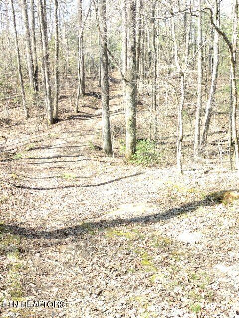 465 Huse Watson Road Oakdale TN 37829