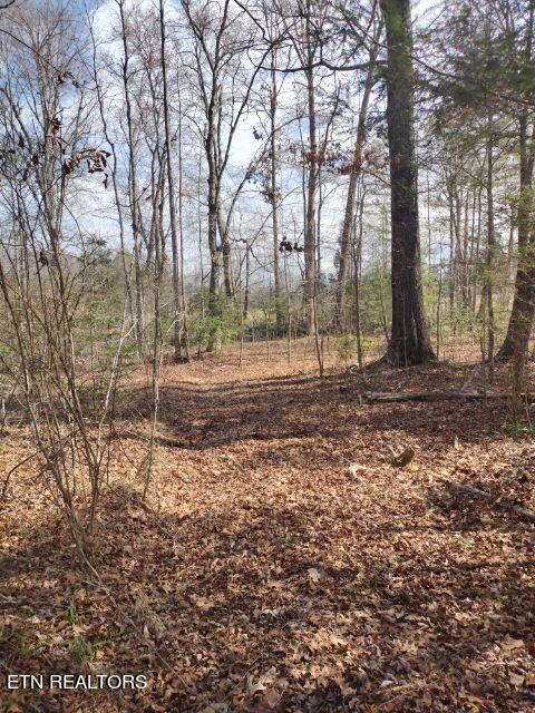 465 Huse Watson Road Oakdale TN 37829