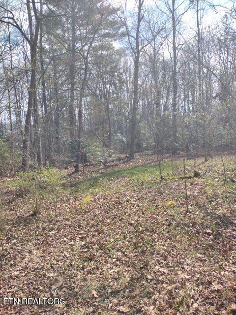 465 Huse Watson Road Oakdale TN 37829
