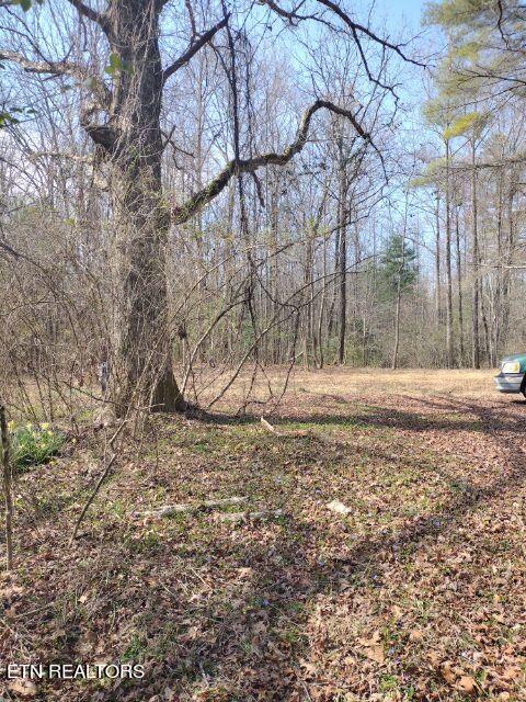 465 Huse Watson Road Oakdale TN 37829