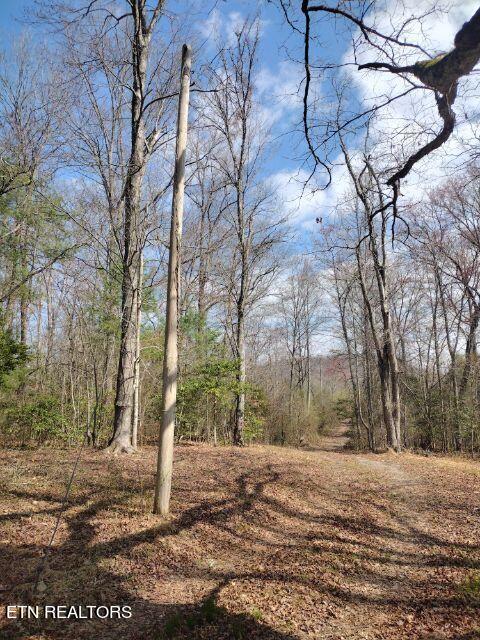 465 Huse Watson Road Oakdale TN 37829